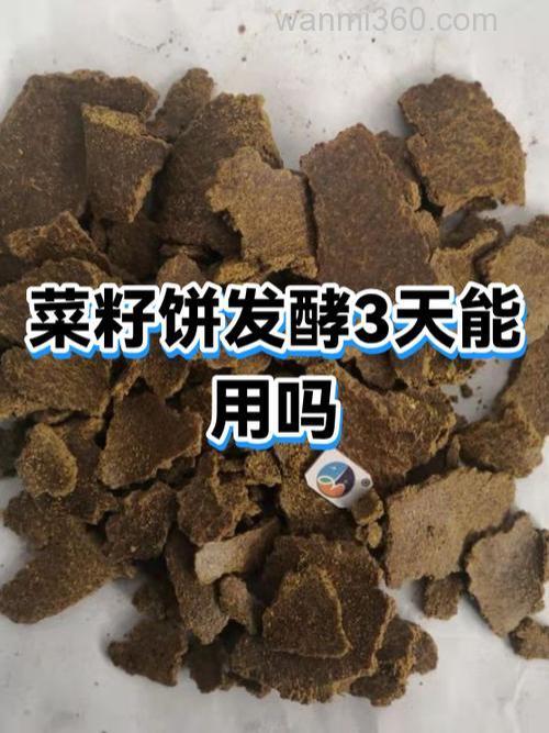 酒糟和菜籽饼哪个好？