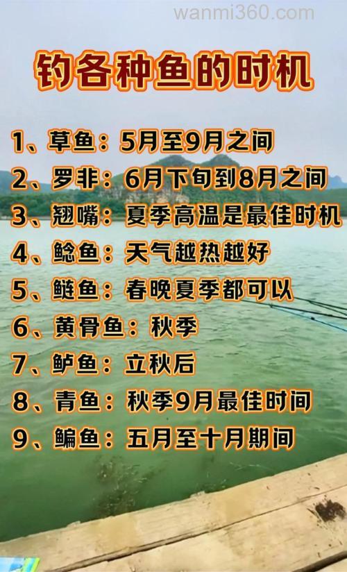 什么时间可以垂钓鲢鱼