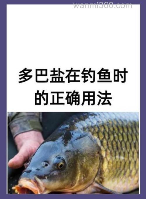 多巴盐怎么配钓鱼饵料？
