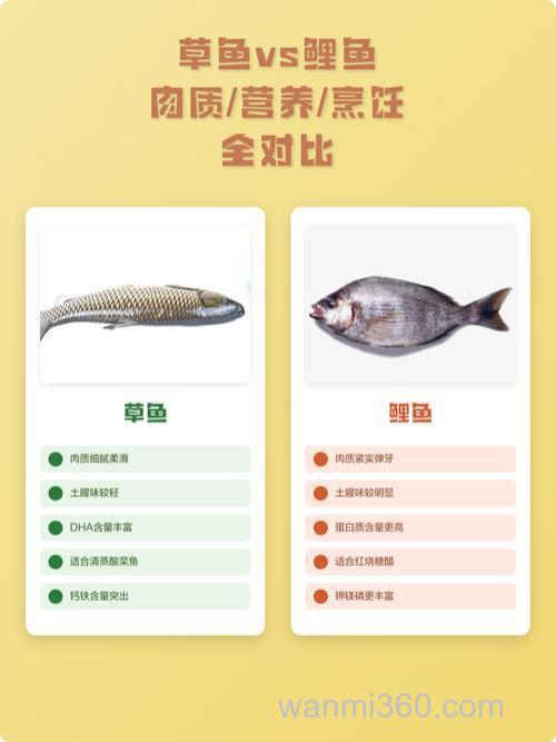 鲤鱼和草鱼哪个营养更丰富?