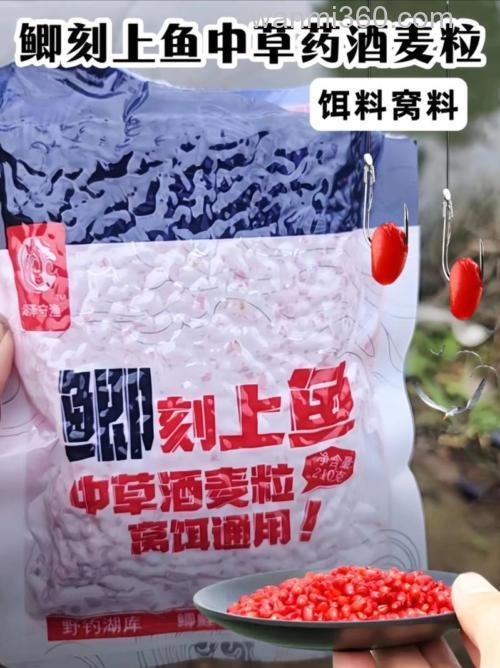 鲫鱼窝料选什么型的曲酒?