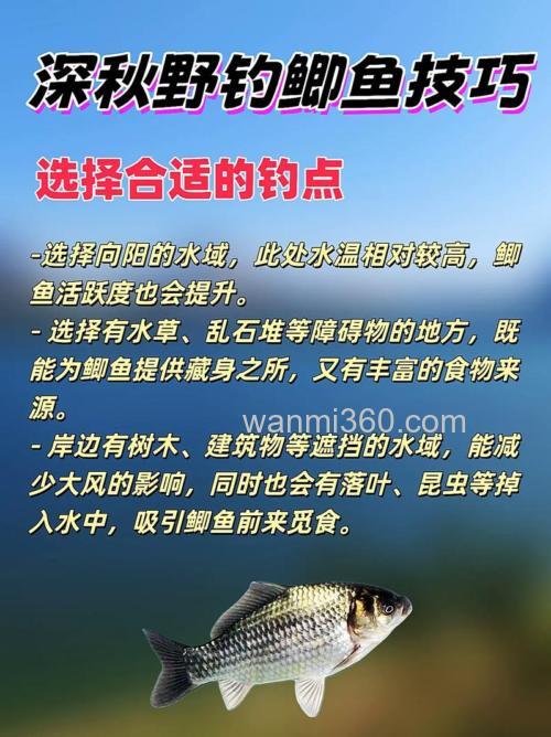 怎样钓鲫鱼详谈鲫鱼的特点,钓法等一些技巧