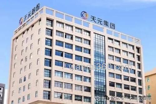 武汉天元公司全名？