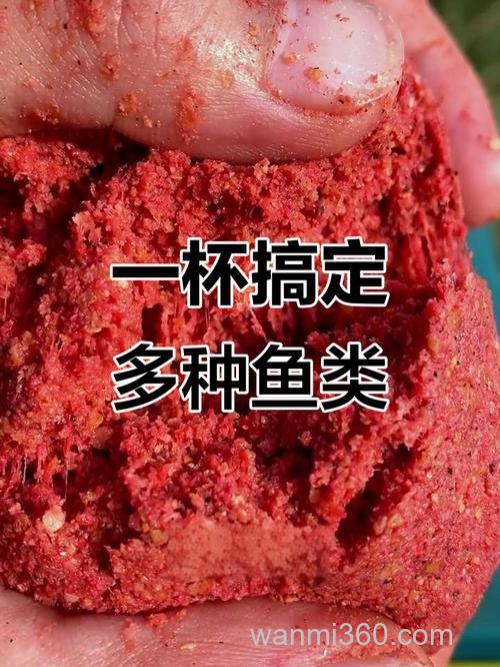 东季钓鲤草鱼最好饵料