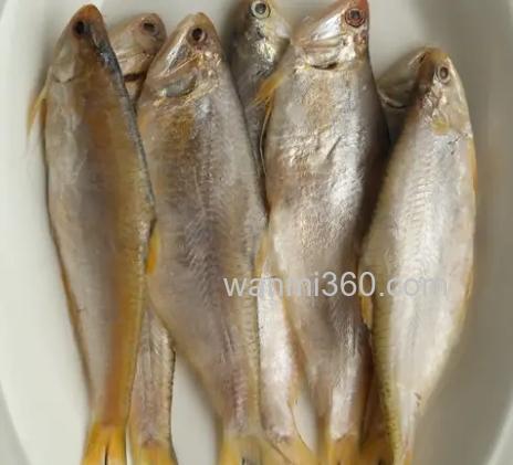 丸九鱼食黄鲫，力作元双，采。四季，雾化麦，粒战，彩鲫，不知怎么配