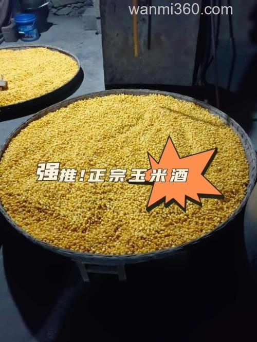 玉米发酵用酒曲好还是甜酒曲好?