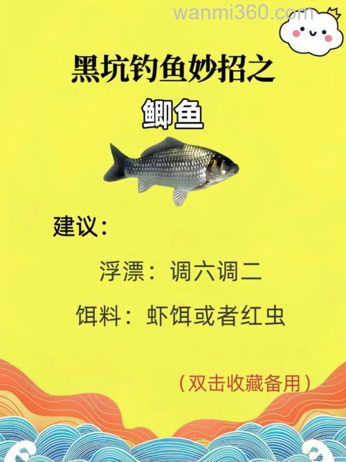 黑坑钓鱼想比别人钓的多怎么做