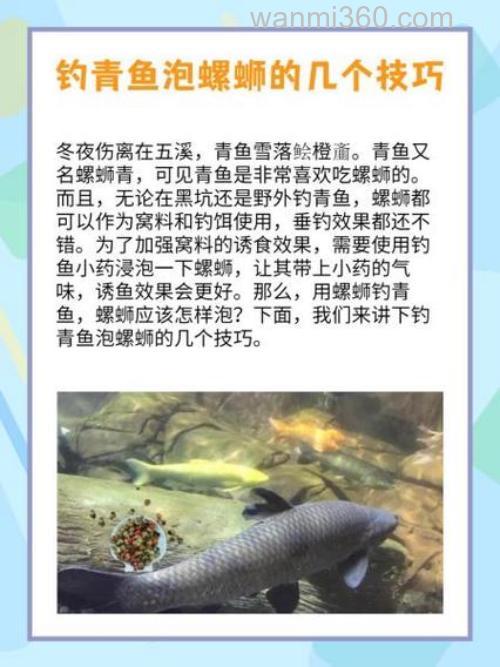 如何在浅水区域使用螺蛳钓青鱼