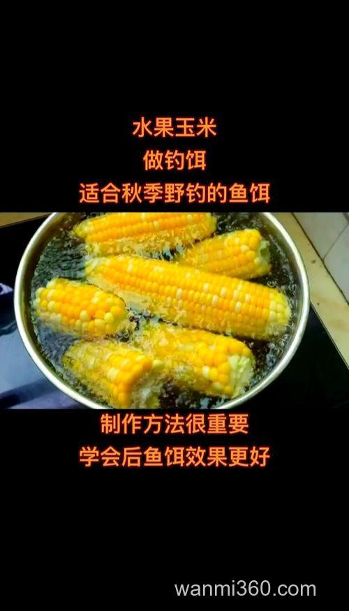 秋季怎么用玉米做饵料