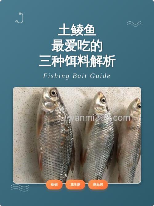 鲮鱼喜欢吃什么饵料 鲮鱼爱吃哪种饵料