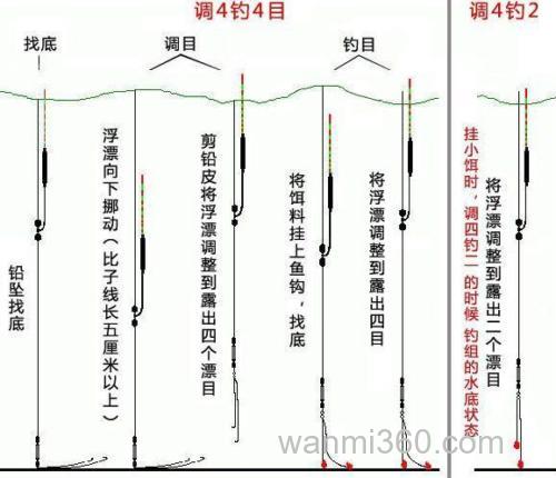 冬天钓鱼调几目好抓口