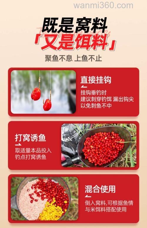 麝香鱼饵什么季节用
