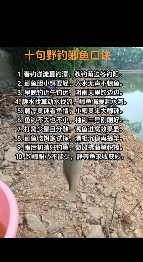 惊蛰野钓鲫鱼技巧