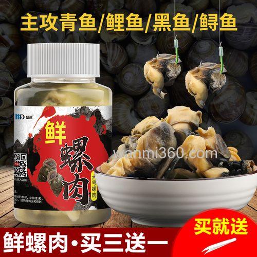 螺肉饵料测评?