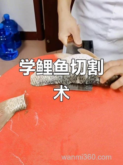 怎么杀活鲤鱼?