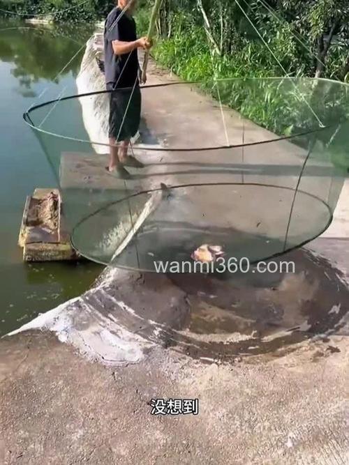 猪肉可以钓鱼吗?