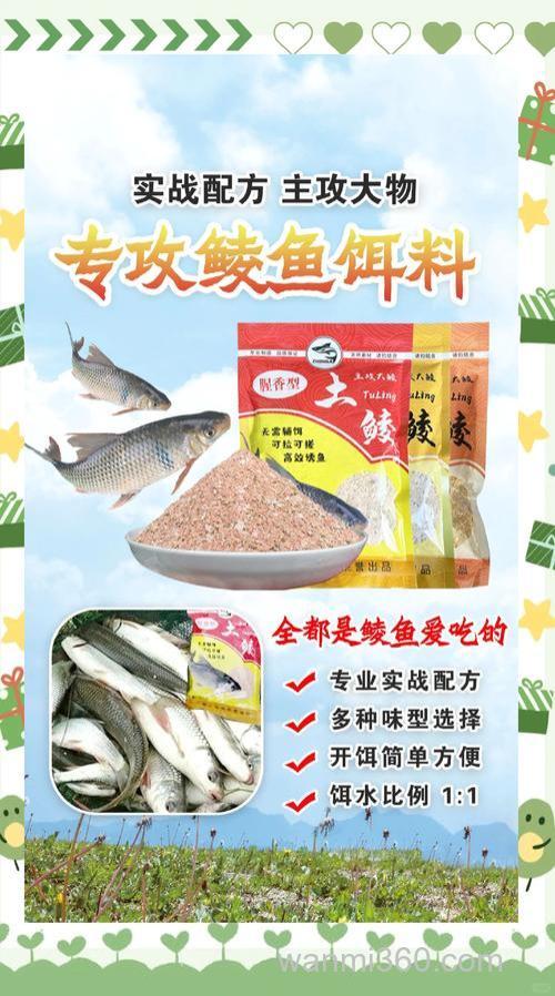 钓鱼高手:钓鲮鱼用什么料钓