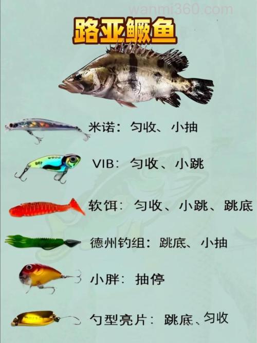 高手钓桂鱼用什么饵料？
