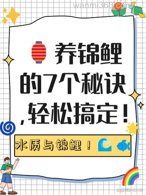 牛b鲤正确使用方法?