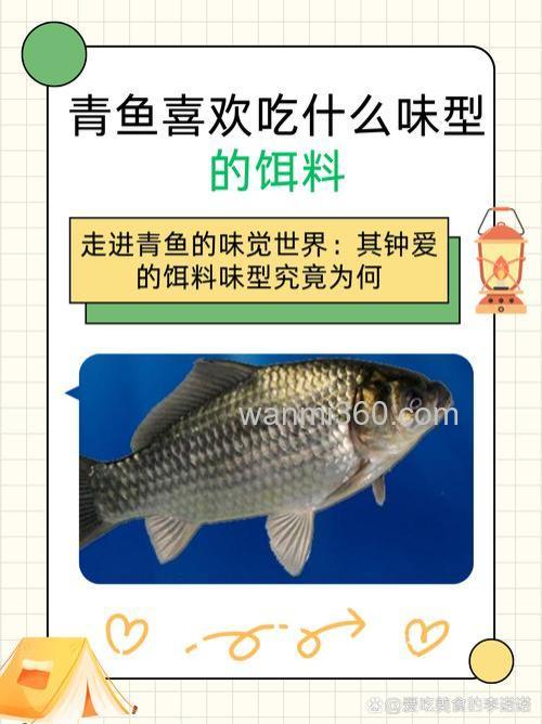 青鱼喜欢酒味饵料吗?
