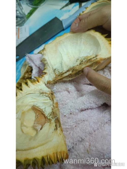 榴莲芯是什么?