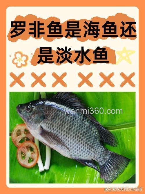 猪油渣可以钓罗非鱼吗？