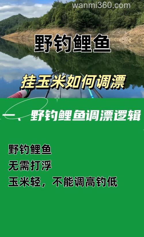 挂玉米钓鲤鱼怎么调漂