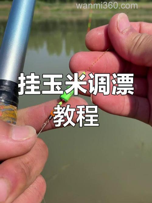 挂玉米粒钓鲤鱼调漂最佳方法