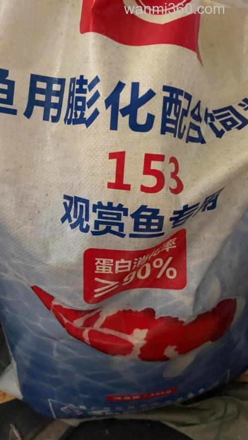 鲤鱼喜欢什么味的饲料?