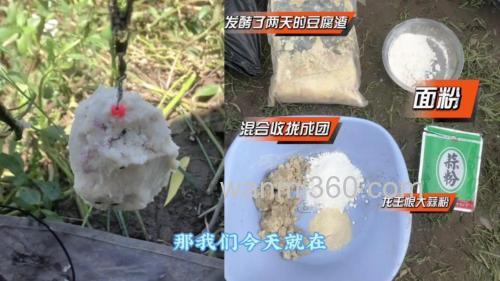 自己做鲢鳙饵要放臭豆腐吗?是不是很难闻啊?