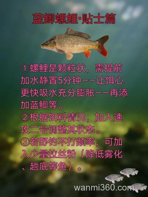 全能香蓝鲫加螺鲤?
