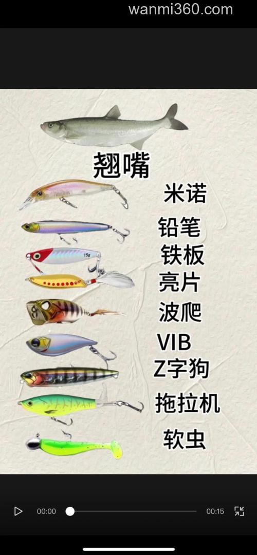 是不钓鱼,用什么饵?