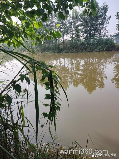 梅雨季节怎么钓鱼