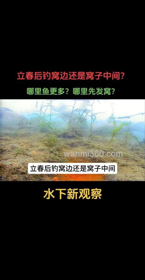 钓窝子正中还是前后？