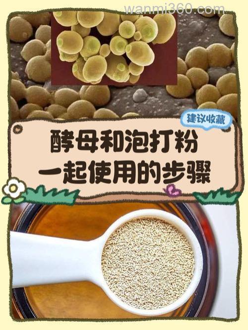 商品饵料加入酵母粉会发酵吗？