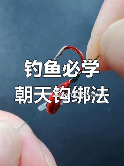 传统钓鱼使用传统朝天钩钓鲫鱼有哪些技巧