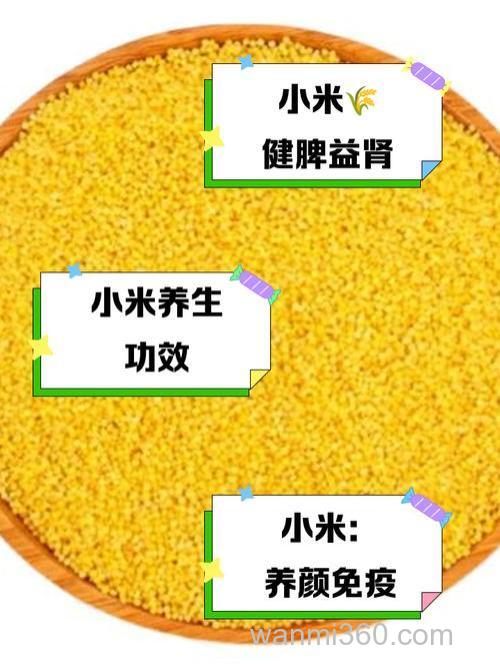 维生素e可以泡小米钓鱼吗?