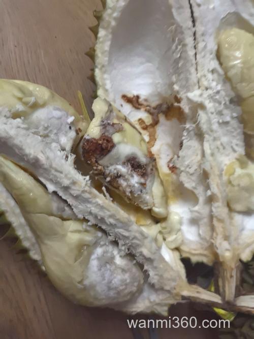 榴莲上有好多黑褐色的类似蟑螂的虫子是什么？怎么消灭？