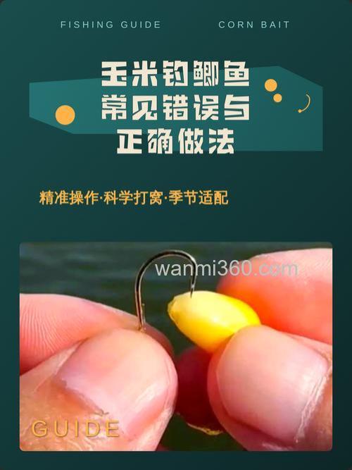 鲫鱼吃玉米吗?
