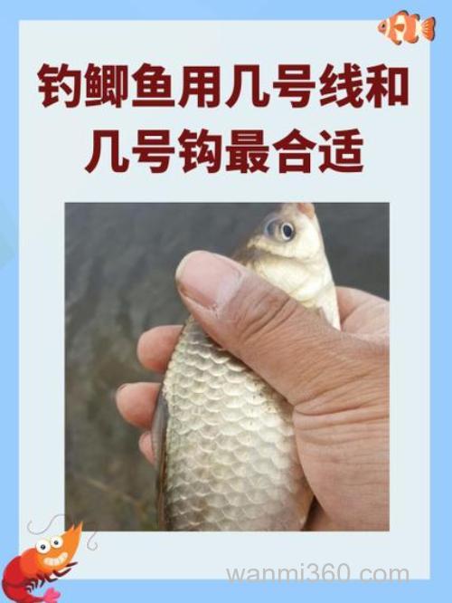 野钓鲫鱼几月份最好钓,几月份最难钓
