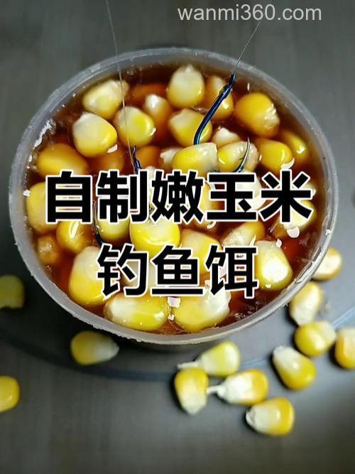 有没有钓鱼老手？你会自制鱼饵吗？特别是用玉米。最好简单鱼又喜欢吃