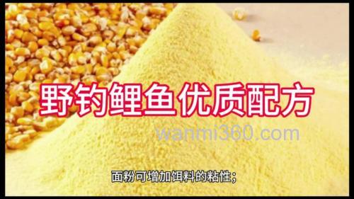 玉米粉饵料秘方?