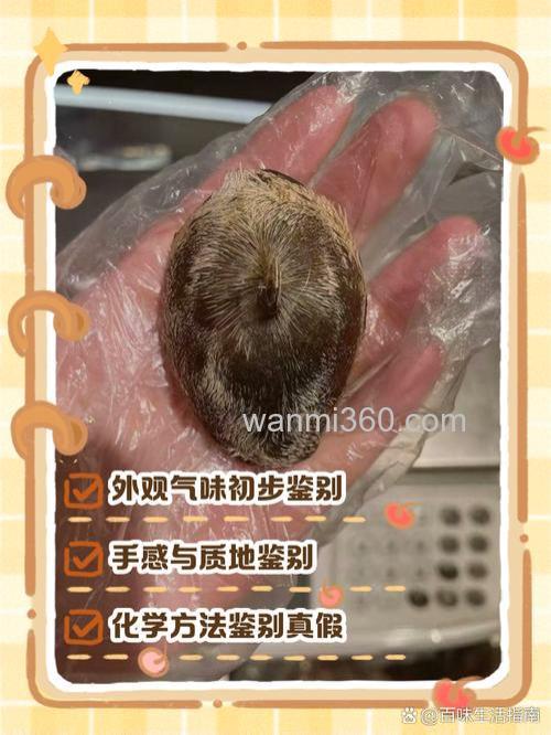 夏季用酵香好还是麝香好?