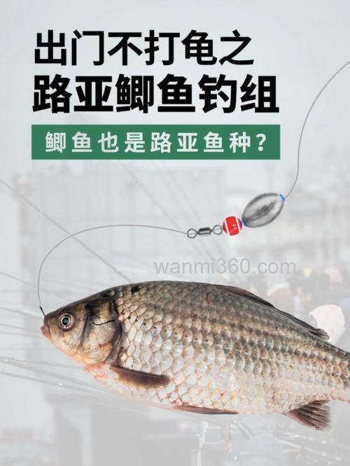 路亚钓鲫鱼用什么饵最好