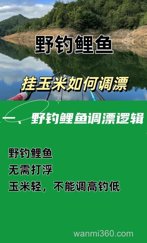 鲤鱼挂玉米调漂调几钓几？