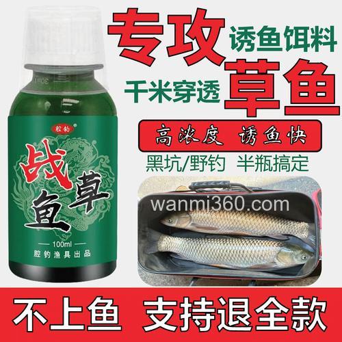 秋天钓草鱼用什么小药?