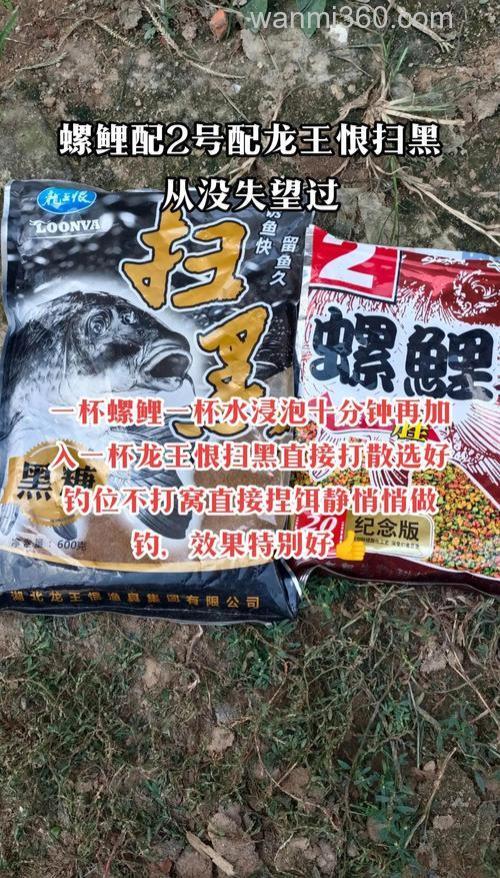 钓鲤鱼用什么样的鱼饵比较好?