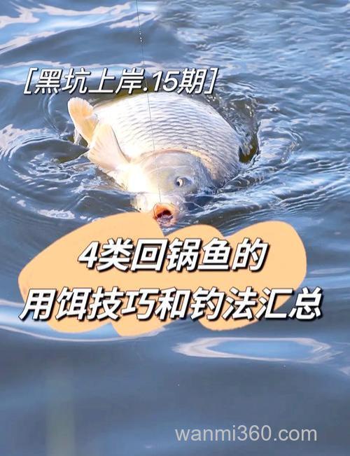 黑坑用饵的诀窍