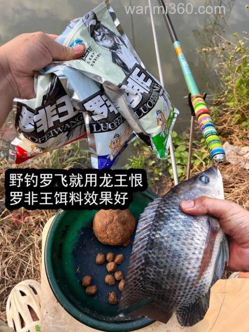龙王恨罗非王藻香怎么使用？
