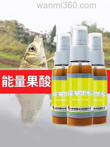 秋季鲤鱼小药